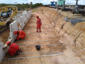 Petrojunin_Inproha_2017_006